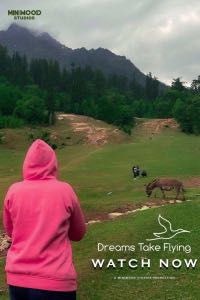 Dreams Take Flying direction work poster
