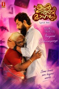 Akalumee Chillapoole Niyyini Dhoorayaayi lyrical edit poster